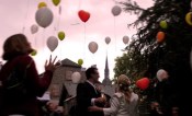 Hochzeitstauben & Ballons am Bodensee, Hochzeitstauben · Ballons Friedrichshafen, Kontaktbild